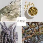 Collage of Little Teethers ingredients: oil, chamomile, lavender and copaiba tree