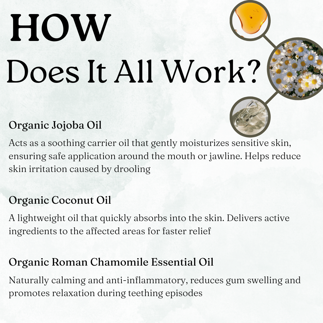 Infographic: how Little Teethers works, describing organic jojoba oil, coconut oil and Roman chamomile