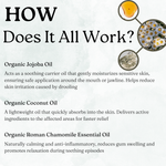 Infographic: how Little Teethers works, describing organic jojoba oil, coconut oil and Roman chamomile