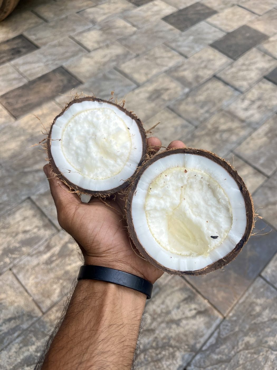 Fractionated coconut oil